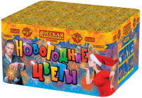 Новогодние цветы Фейерверк купить в Дальнереченске | dalnerechensk.salutsklad.ru