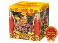 Красивая жизнь Фейерверк купить в Дальнереченске | dalnerechensk.salutsklad.ru