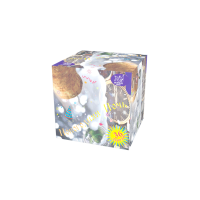 Новогодняя ночь Салют купить в Дальнереченске | dalnerechensk.salutsklad.ru