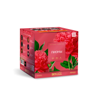 Пионы Салют купить в Дальнереченске | dalnerechensk.salutsklad.ru