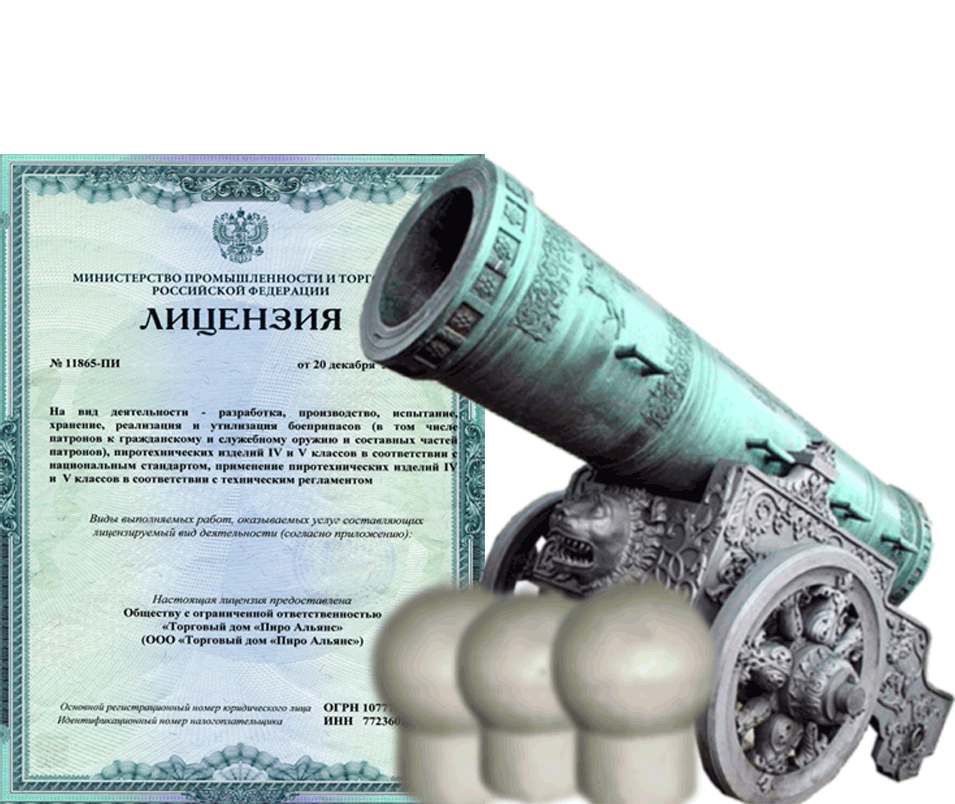 Заказать фейерверк на Новый Год - салют в Дальнереченске