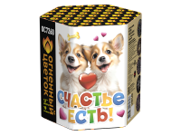 Счастье есть! Салют купить в Дальнереченске | dalnerechensk.salutsklad.ru