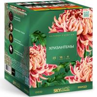 Хризантемы Фейерверк купить в Дальнереченске | dalnerechensk.salutsklad.ru