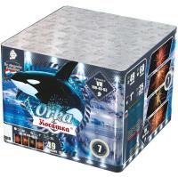 Косатка Фейерверк купить в Дальнереченске | dalnerechensk.salutsklad.ru