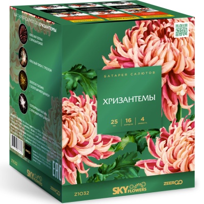 Хризантемы Фейерверк купить в Дальнереченске | dalnerechensk.salutsklad.ru