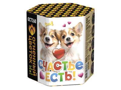 Счастье есть! Салют купить в Дальнереченске | dalnerechensk.salutsklad.ru